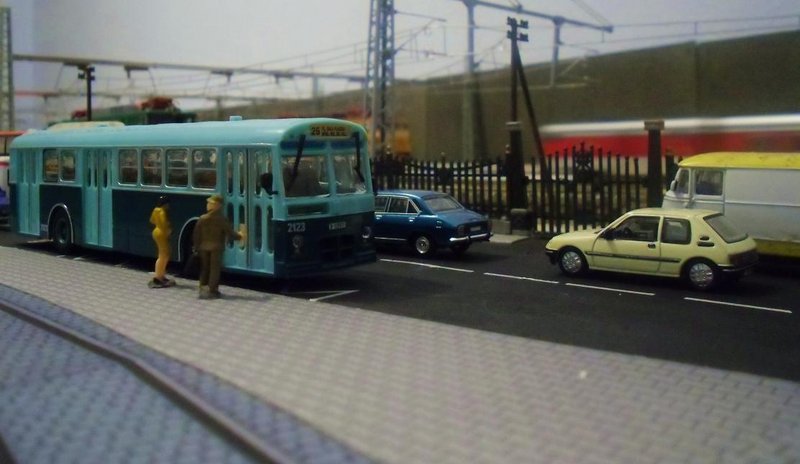 CIMG8005.JPG