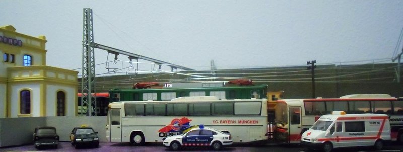 CIMG8008.JPG