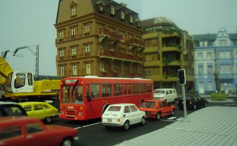 CIMG8014.JPG