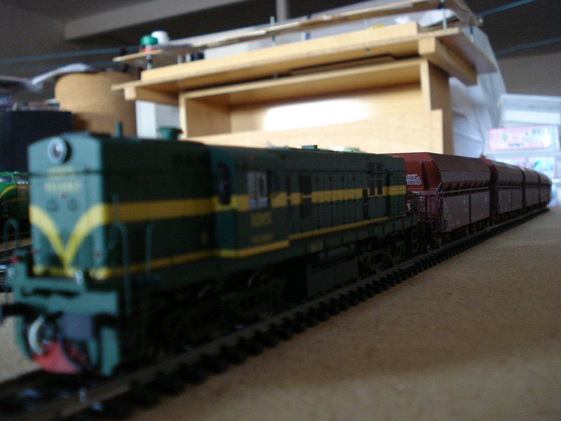DSC04536.JPG