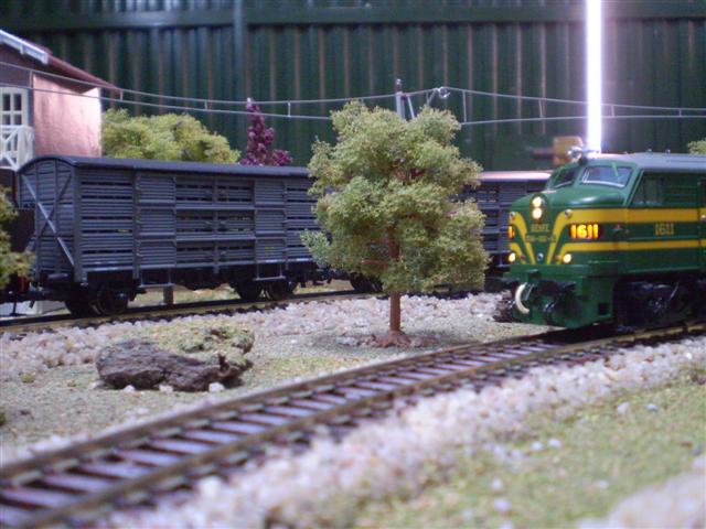 P1010174 (Small).JPG