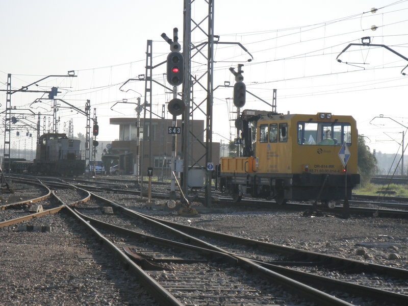 P2250696.JPG
