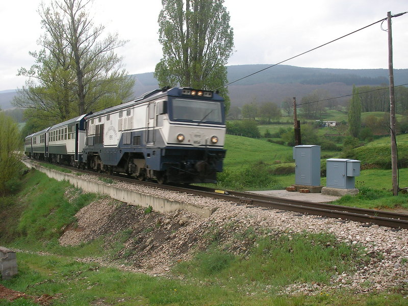 SANY0008.JPG