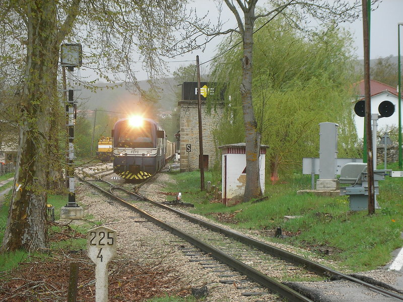 SANY0009.JPG