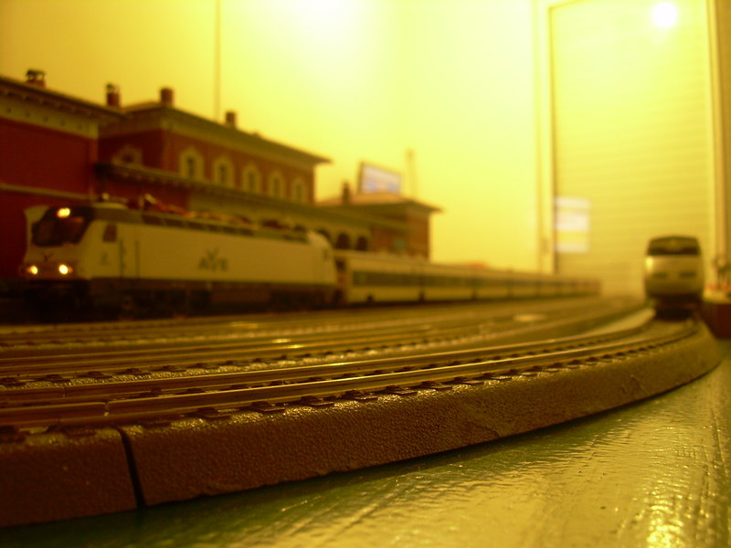 DSCN1554.JPG
