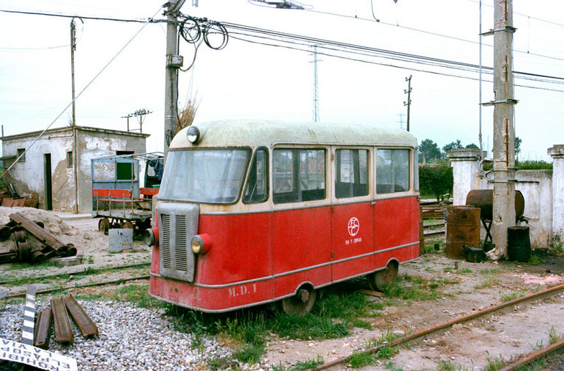 2308_71_Cat-MD1a.jpg