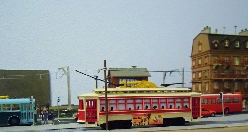 CIMG8115.JPG