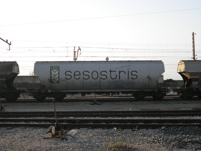 P3040841.JPG