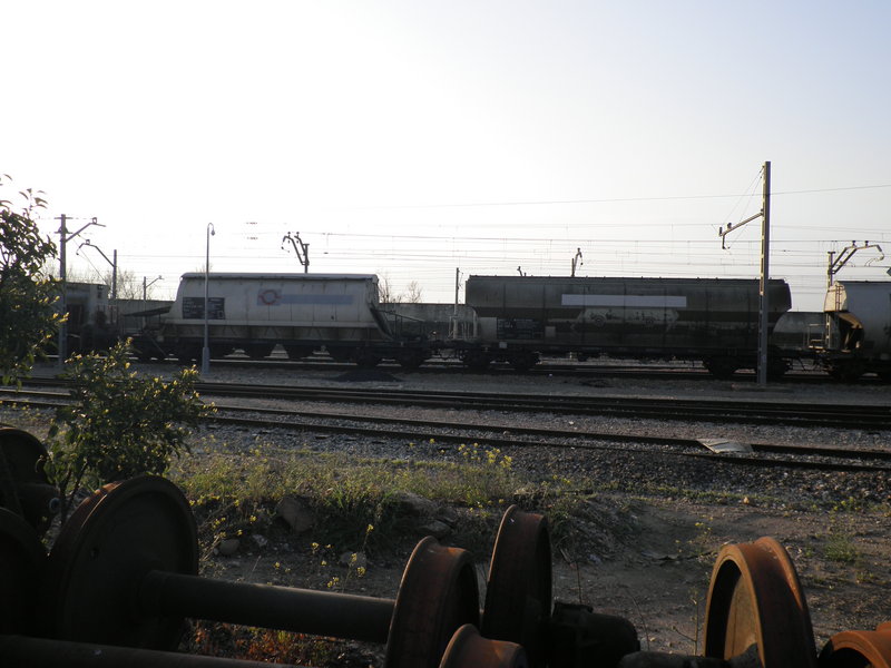 P3040842.JPG