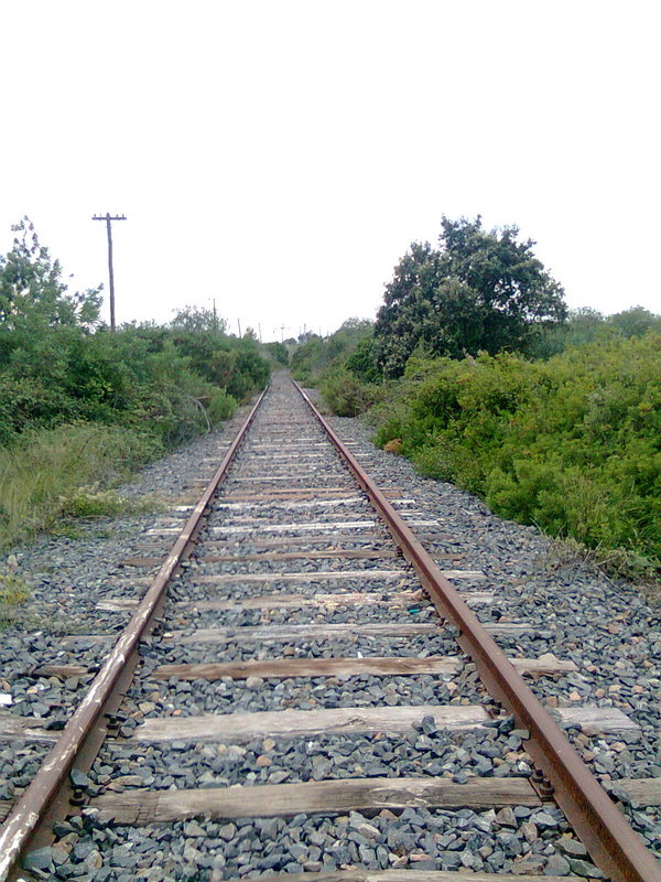 Imatge0100.jpg