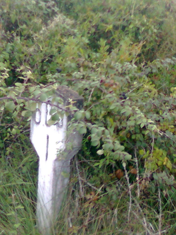 Imatge0104.jpg