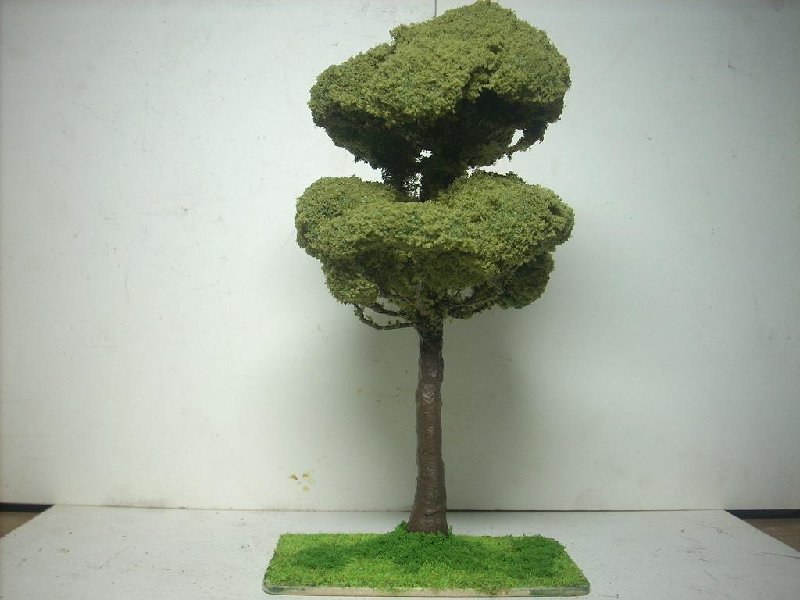 Imagen 047.jpg