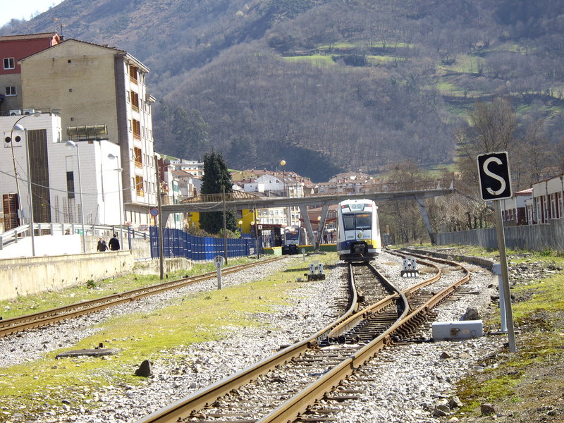 IMGP2449.JPG