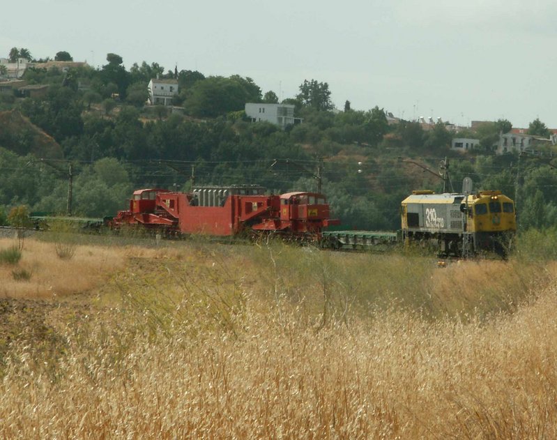 1650019r.jpg