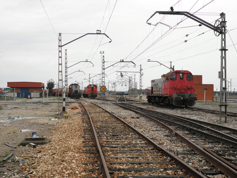 P3140967.JPG