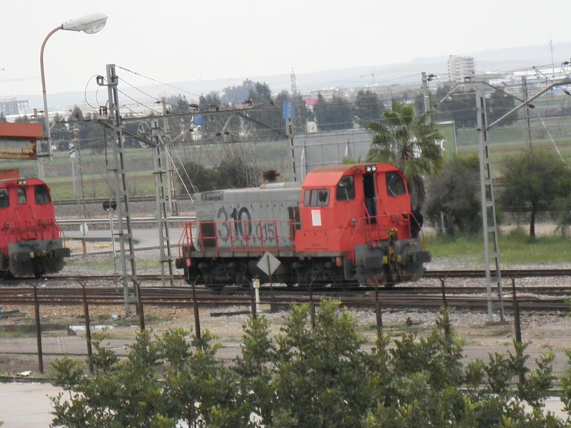 P3140963.JPG
