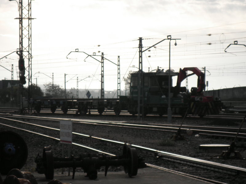 P4150083.JPG