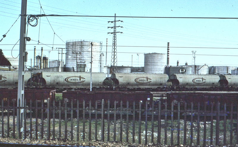 D0593.jpg