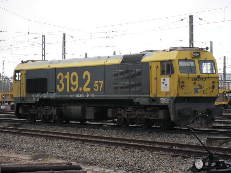 P4180113.JPG