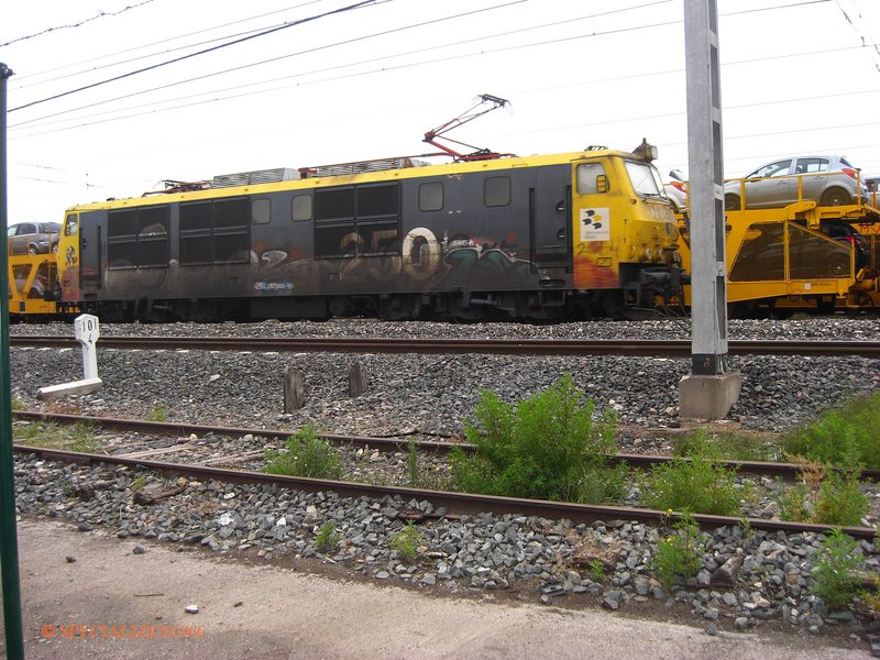 250-005-6 tarragona 2010.JPG