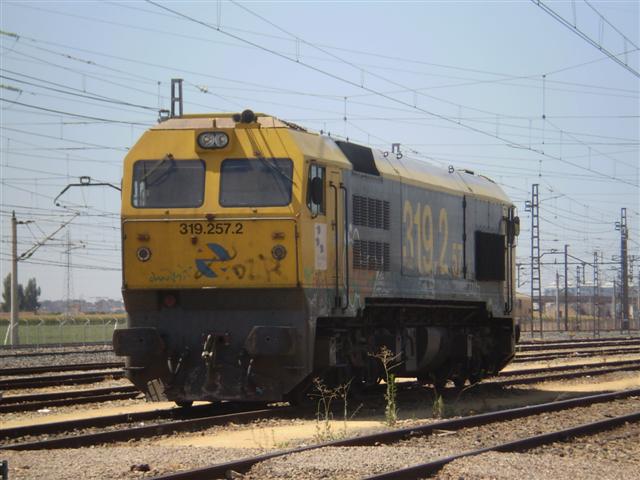 P1010017 (Small).JPG