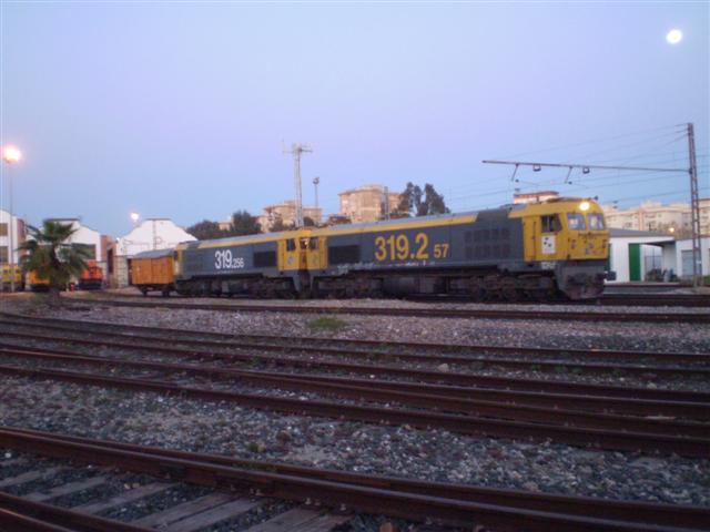 P1010544 (Small).JPG