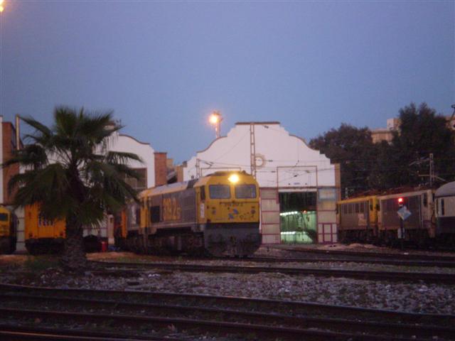 P1010546 (Small).JPG