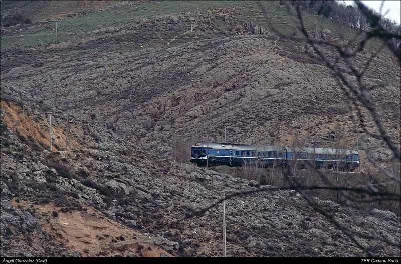 CIWL0563.jpg