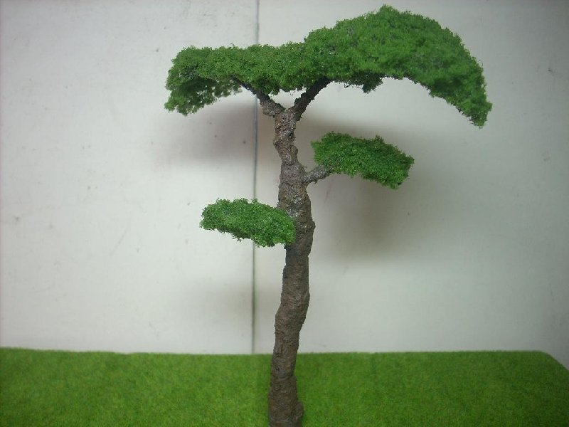 Imagen 048.jpg