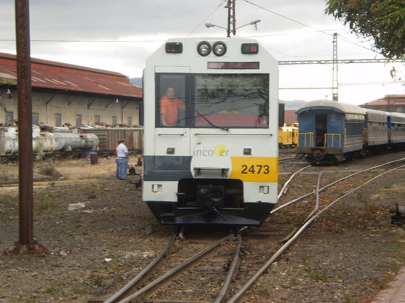 P3180146.JPG