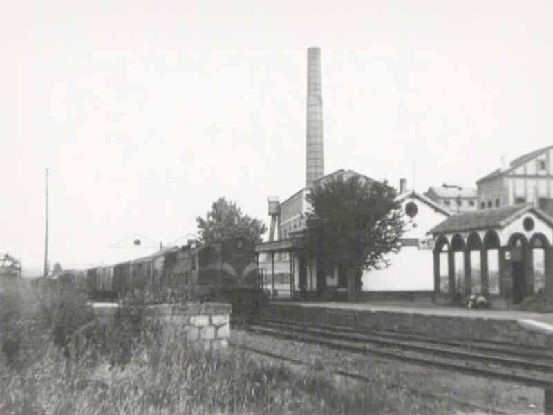 Caniles01.jpg