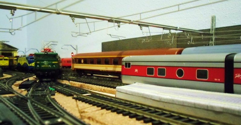 CIMG8312.JPG
