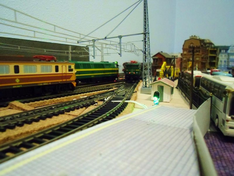 CIMG8317.JPG