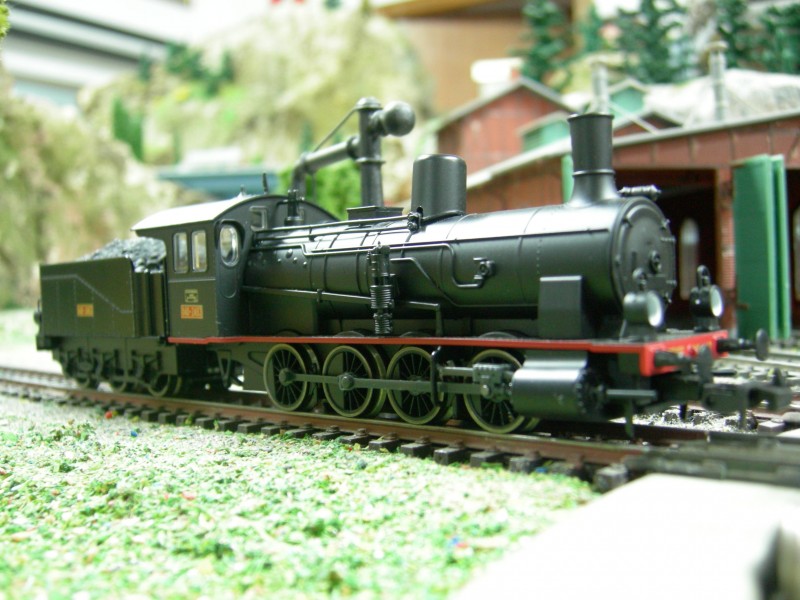 DSCN0503.JPG