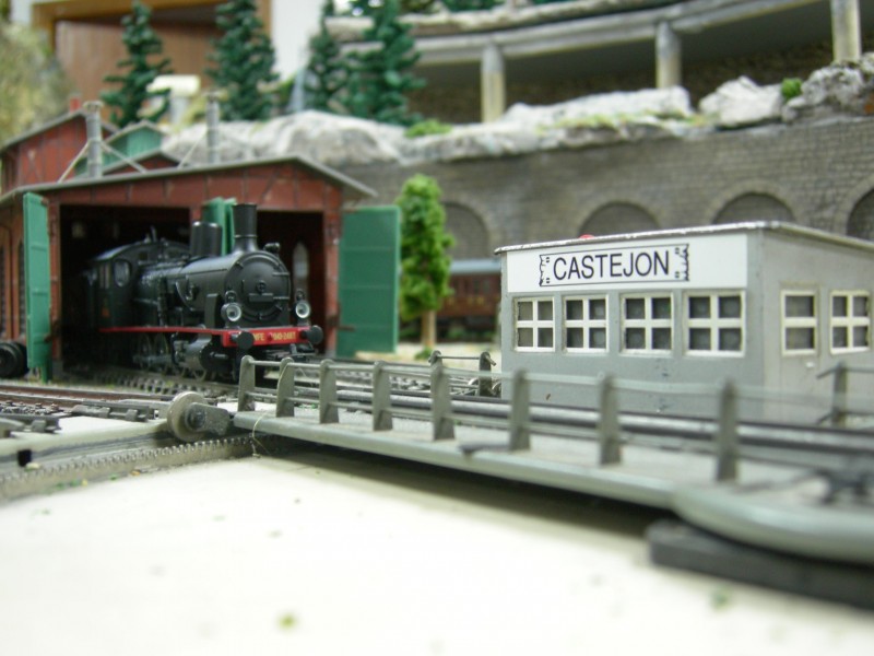 DSCN0504.JPG