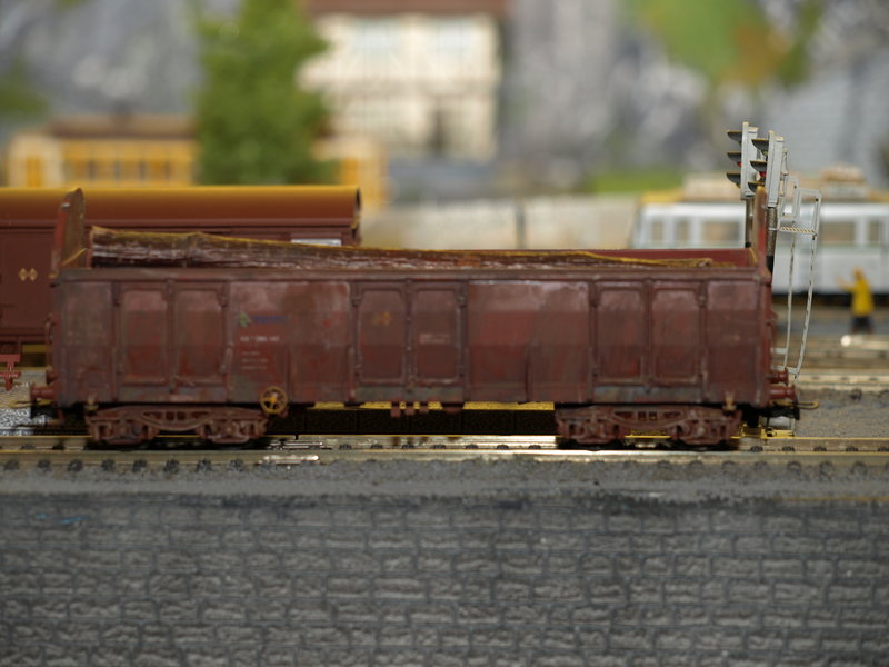 PB286488.JPG