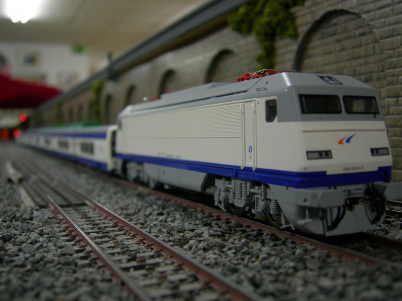DSCN0511.JPG