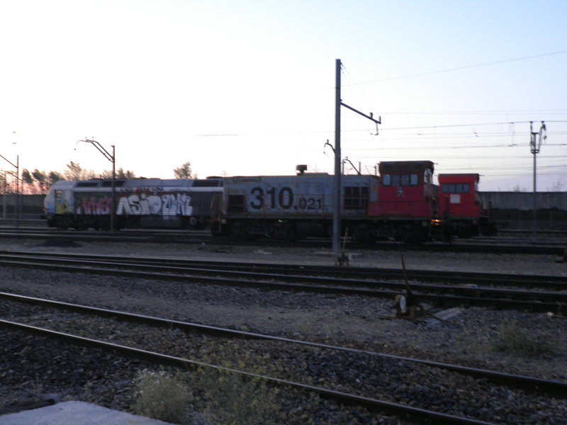 P3301180.JPG