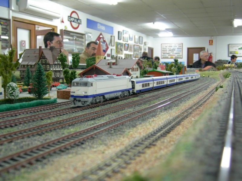 DSCN0513.JPG