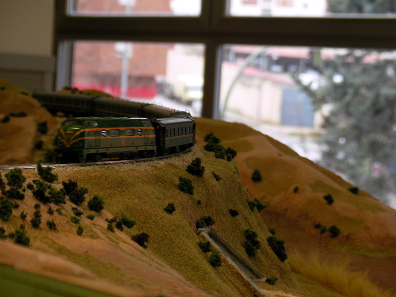 SANY0169.JPG