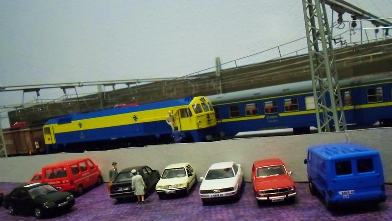 CIMG8450.JPG