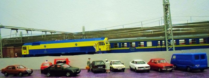 CIMG8452.JPG
