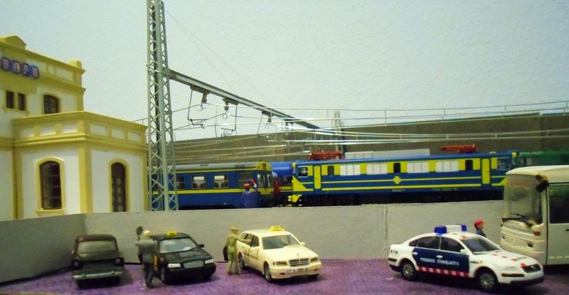 CIMG8453.JPG