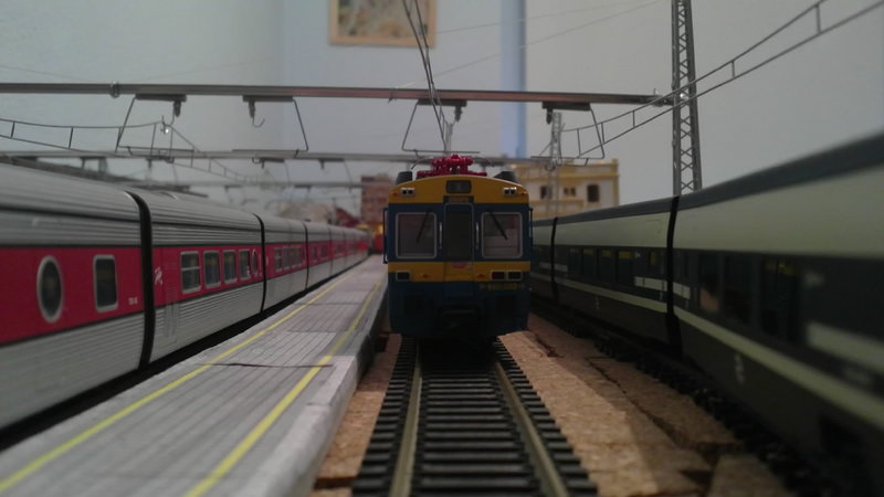 03042011046-001.jpg