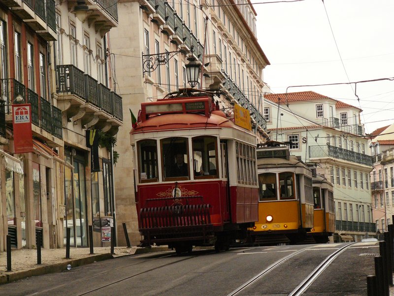 P1030705.JPG