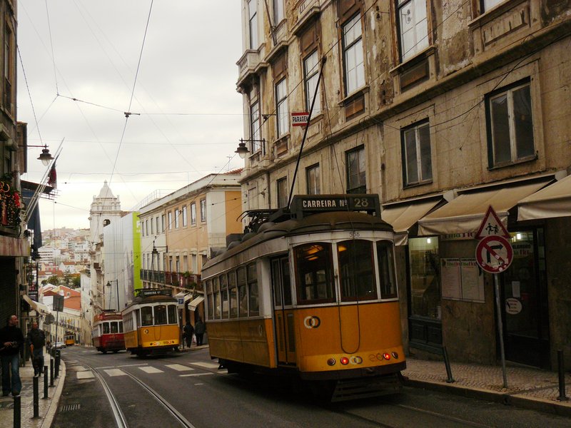 P1030707.JPG