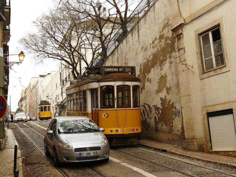 P1030698.JPG