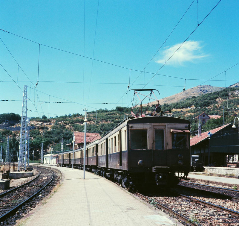 842.jpg