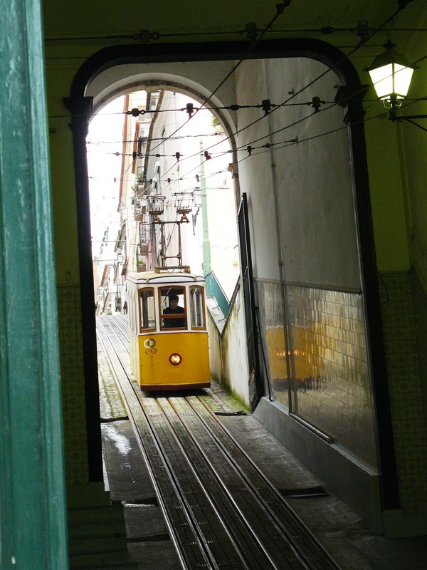 P1030719.JPG