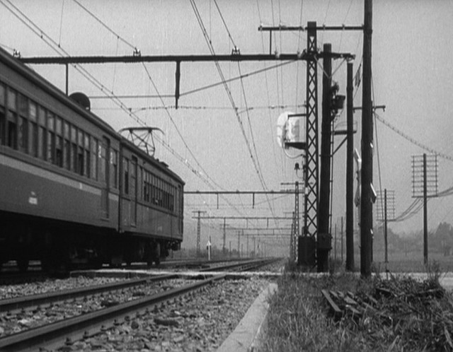 late spring 1949.jpg